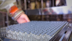 Vials in tray being loaded into lyophiliser during peptide manufacturing