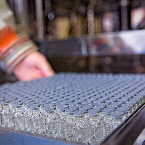 Vials in tray being loaded into lyophiliser during peptide manufacturing