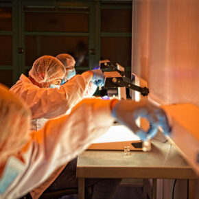 Row of sterile manufacturing scientists sat in a laboratory wearing PPE conducting visual inspection of drug product vials