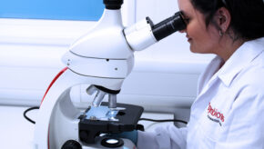 Drug Product Testing