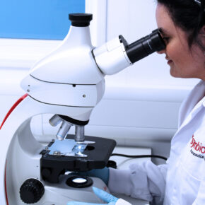 Developing tailored testing strategies