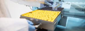 Symbiosis Reaches Major Milestone with 1,000th Batch of Injectable Drug Product